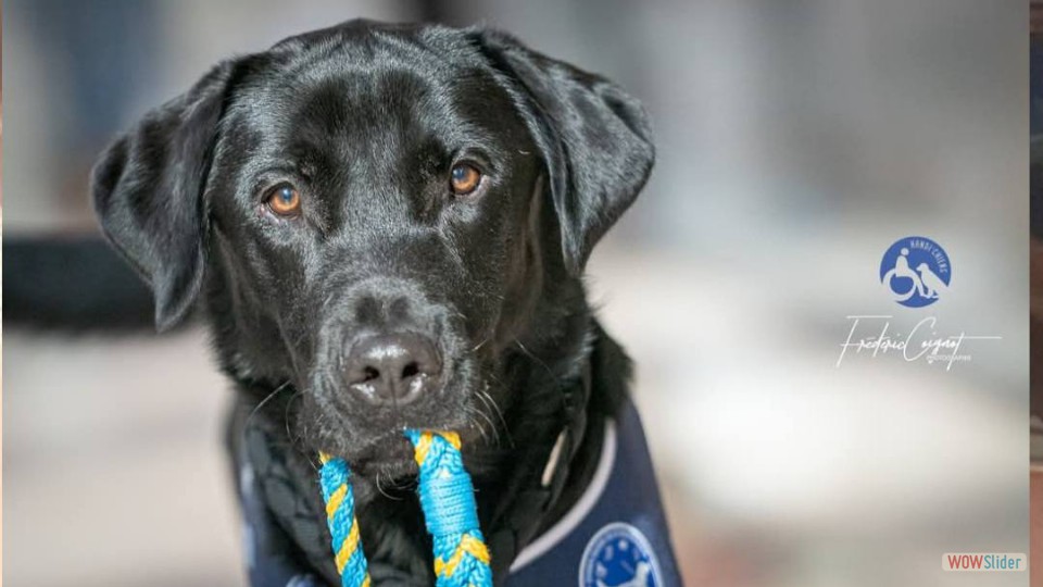 579990340_1407603294702927_5735876898267467714_n