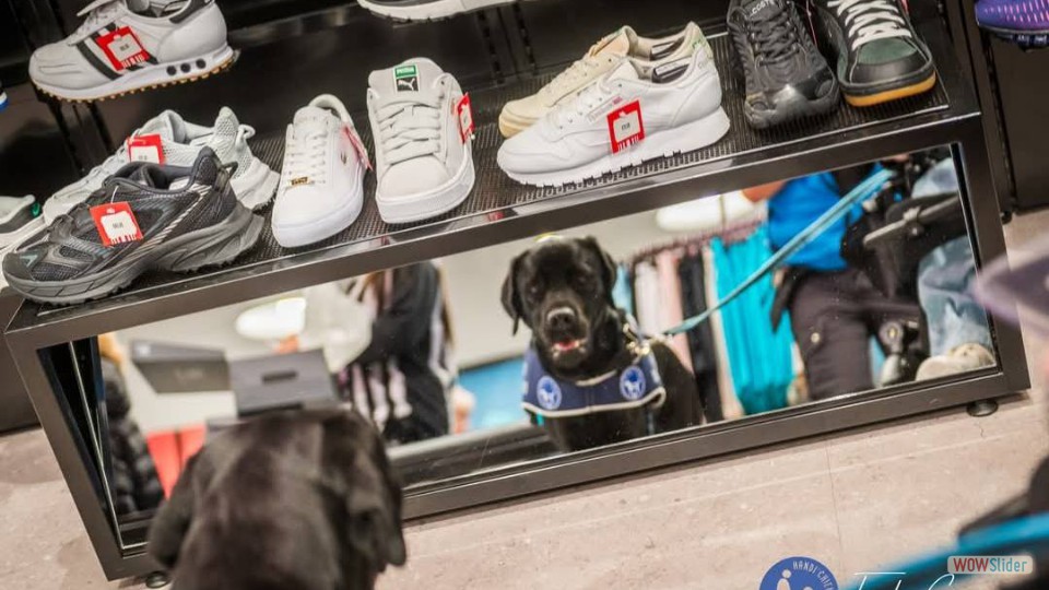 580065539_1407603401369583_5745667469916248549_n