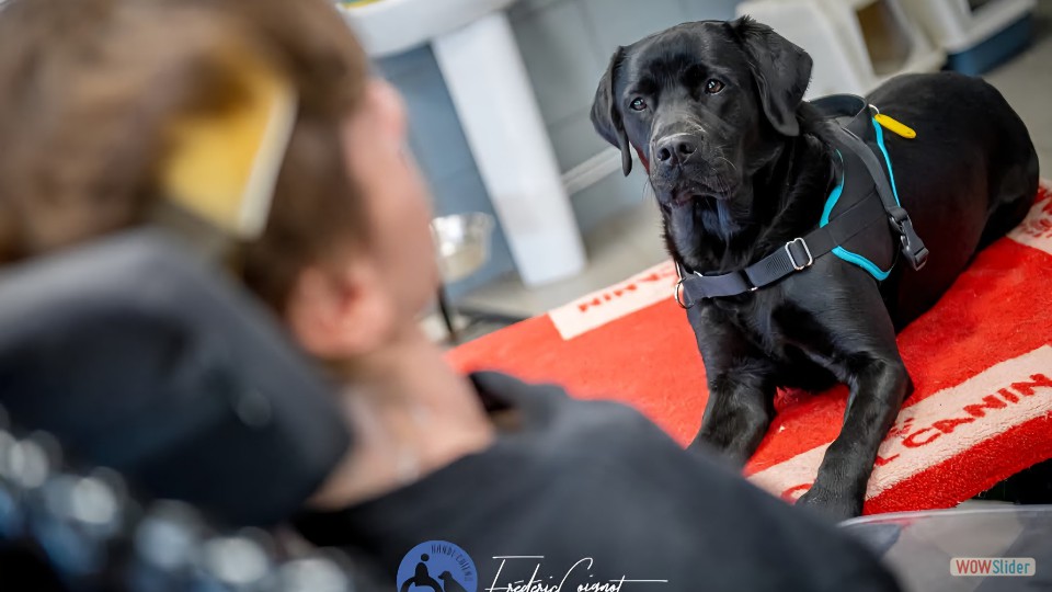 582091554_1407603681369555_4506127872759672612_n